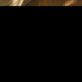 BG-4774_1.webp