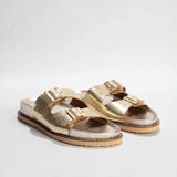 BG-5062_packshot_1.webp