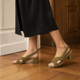 BG-3567_3-5_i2_3.webp